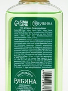 Подарочный набор новогодний: гель для душа 2 шт х100 мл, мочалка для тела, аромат яблоко и глинтвейн, URAL LAB - фото 60979781