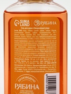 Подарочный набор новогодний: гель для душа 2 шт. × 100 мл, мочалка для тела, аромат мандарин и тыква, URAL LAB - фото 119358895