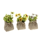 композиция в мешочке бантик 16*10 см васильки - Фото 2