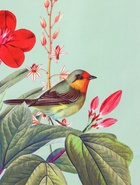 Пакет подарочный ламинированный «Птичка» 11.5×14.5×6.5 см - фото 119371605