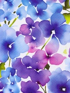 Пакет подарочный ламинированный «Цветочный сад» 11.5×14.5×6.5 см - фото 119371615