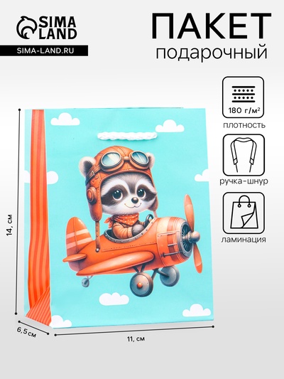 Пакет подарочный ламинированный «В полете» 11.5×14.5×6.5 см