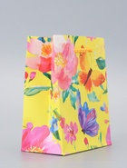 Пакет подарочный ламинированный «Мечта» 11.5×14.5×6.5 см - фото 119371651