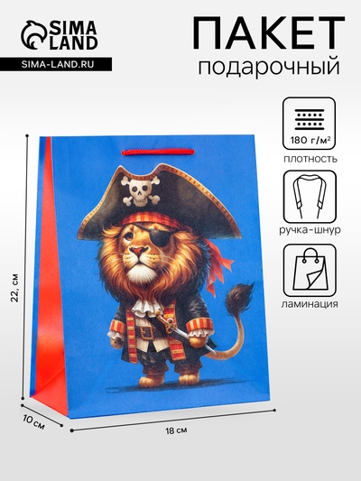 Пакет подарочный ламинированный «Пират» 18×22.3×10 см