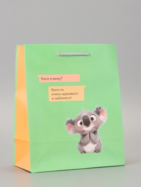 Пакет подарочный ламинированный «Кого я вижу?» 18?22.3?10 см (комплект 2 шт)