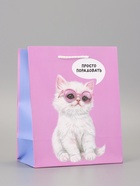 Пакет подарочный ламинированный «Порадовать» 18?22.3?10 см (комплект 2 шт) - фото 60174299