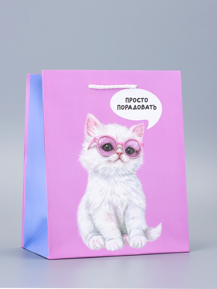 Пакет подарочный ламинированный «Порадовать» 18×22.3×10 см - Фото 1