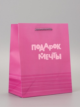 Пакет подарочный ламинированный «Подарок» 18?22.3?10 см (комплект 2 шт)