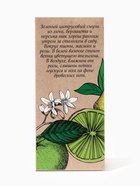 Туалетная вода женская Smusie Summer Fresh, 100 мл 10952993