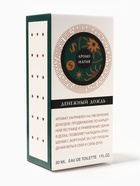 Туалетная вода женская Аромо Магия Денежный Дождь, 30 мл - фото 23279590