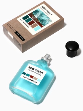 Туалетная вода мужская New Scent New Seduction, 100 мл