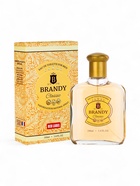 Туалетная вода мужская Brandy Classic, 100 мл 10953199