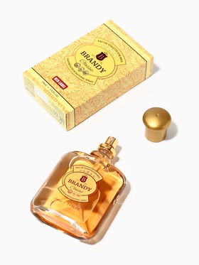 Туалетная вода мужская Brandy Classic, 100 мл