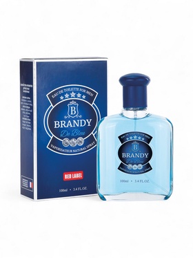 Туалетная вода мужская Brandy De Bleu, 100 мл 10953201