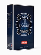 Туалетная вода мужская Brandy De Bleu, 100 мл - Фото 3
