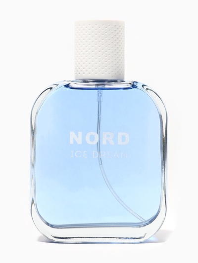 Туалетная вода мужская Free Style Nord Ice Dream, 100 мл
