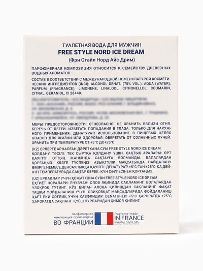 Туалетная вода мужская Free Style Nord Ice Dream, 100 мл