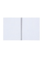 Компл тетр из 3шт 96л кл на гребне Русские иероглифы, обл мел карт, офсет (6250539) - фото 119121205