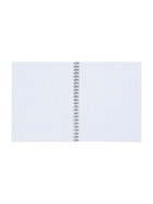 Набор тетрадей Calligrata. Capy, 3 штуки, 80 листов, в клетку, на гребне, обложка из мелованного картона - Фото 2