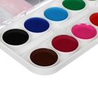 УЦЕНКА Акварель 12цв пластик Гамма "Мультики", без кисти (211046_12) - Фото 3