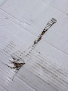 УЦЕНКА Ширма «Белая», 200×160 см (с колесиками) - Фото 9