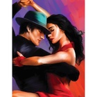 УЦЕНКА Алмазная вышивка на раме с полным заполнением "Пара в танце", 30х40см - Фото 1