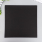 Лист для фотоальбома чёрный, плотность 250 г, набор 30 шт., 26×26 см - фото 60873131