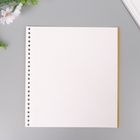 Лист магнитый для фотоальбома, плотность 230 г, набор 10 шт., 28×26 см - фото 60873133