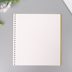 Лист магнитый для фотоальбома, плотность 230 г, набор 10 шт., 28×26 см