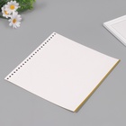 Лист магнитый для фотоальбома, плотность 230 г, набор 10 шт., 28×26 см - фото 60873134