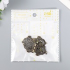 Петля для шкатулки, ключницы «Узорная с цветами», металл под бронзу, с крепежом, набор 2 шт., 5.3×2.8 см - Фото 3