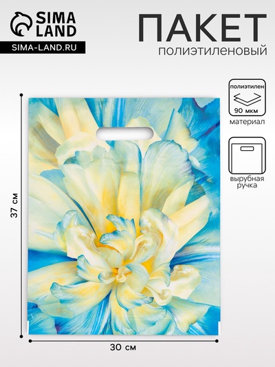 Пакет подарочный «Молли», полиэтиленовый с вырубной ручкой, 30×37 см, 90 мкм