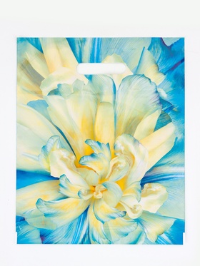 Пакет подарочный «Молли», полиэтиленовый с вырубной ручкой, 30?37 см, 90 мкм (комплект 50 шт)