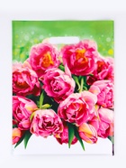 Пакет подарочный «Натюрель» полиэтиленовый с вырубной ручкой, 30×40 см, 30 мкм (50 шт) - фото 809342331