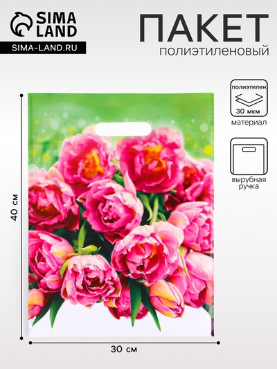 Пакет подарочный «Натюрель» полиэтиленовый с вырубной ручкой, 30×40 см, 30 мкм