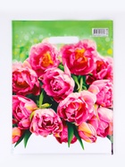 Пакет подарочный «Натюрель» полиэтиленовый с вырубной ручкой, 30×40 см, 30 мкм - фото 119618682