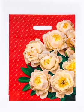 Пакет подарочный «Чувства» полиэтиленовый с вырубной ручкой, ламинированый 31×40 см, 30 мкм