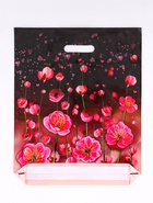 Пакет подарочный «Серенада» полиэтиленовый с вырубной ручкой, ламинированный 38×47 см, 60 мкм - фото 119618689