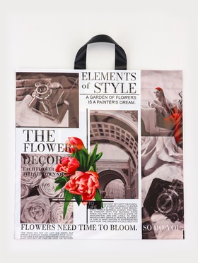 Пакет «Визуал», полиэтиленовый с петлевой ручкой, 42×45 см, 45 мкм (25 шт)