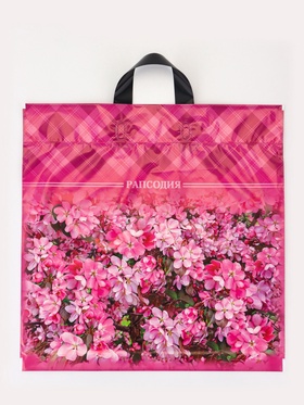 Пакет «Рапсодия», полиэтиленовый с петлевой ручкой, 42×45 см, 45 мкм