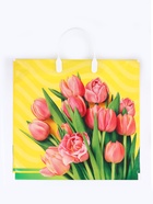 Пакет подарочный «Муза», полиэтиленовый с пластиковой ручкой, 37×34 см, 80 мкм - фото 119551549