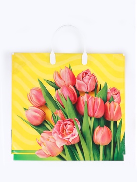 Пакет подарочный «Муза», полиэтиленовый с пластиковой ручкой, 37×34 см, 80 мкм