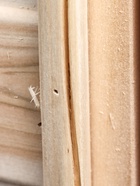 УЦЕНКА Дверь для бани глухая, сорт «С» 170×80 см - Фото 15