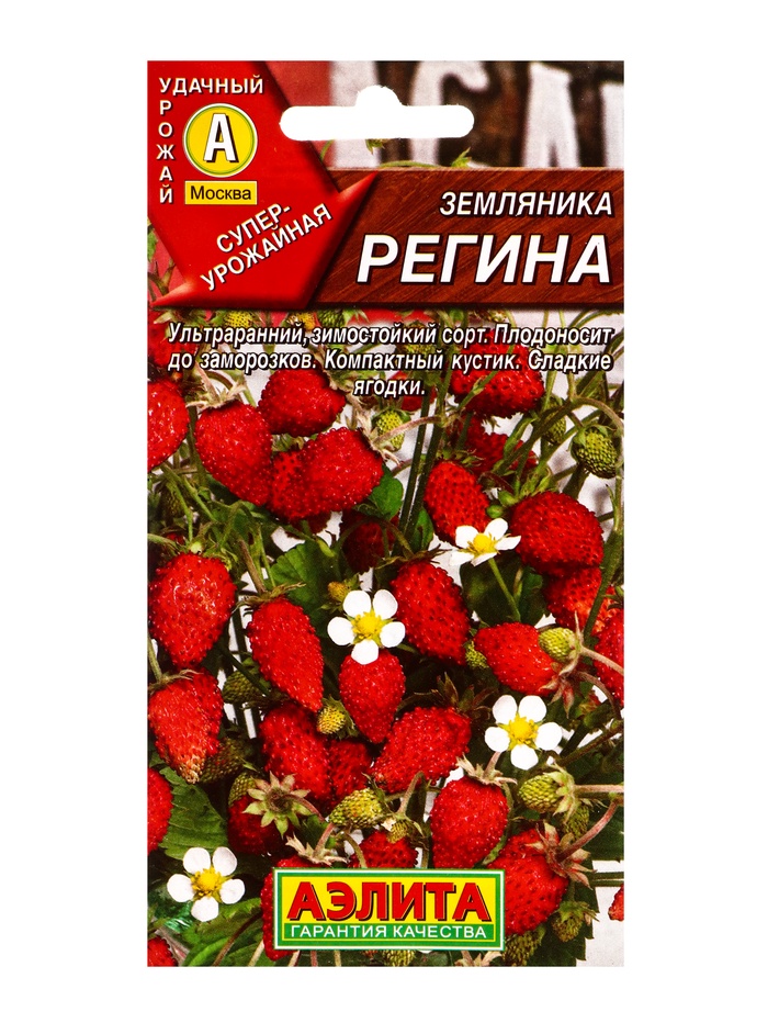 Семена Земляника «Регина», 0.04 г, «Аэлита» - Фото 1