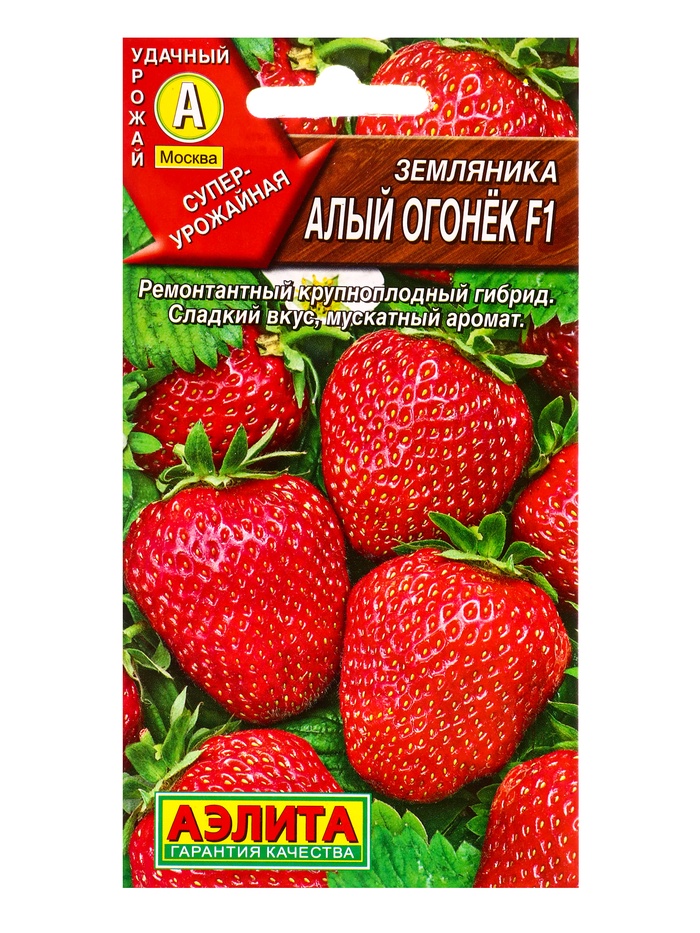 Семена Земляника «Алый огонек», F1, «Агрофирма АЭЛИТА», ремонтантная, крупноплодная, 10 шт.