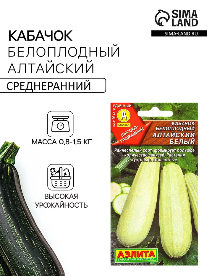 Семена Кабачок белоплодный «Алтайский белый», 1 г, «Агрофирма АЭЛИТА»