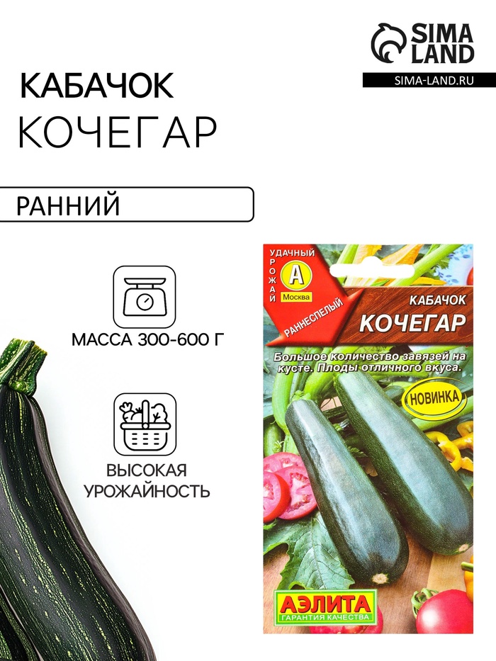 Семена Кабачок цуккини «Кочегар», 1 г, «Агрофирма АЭЛИТА»