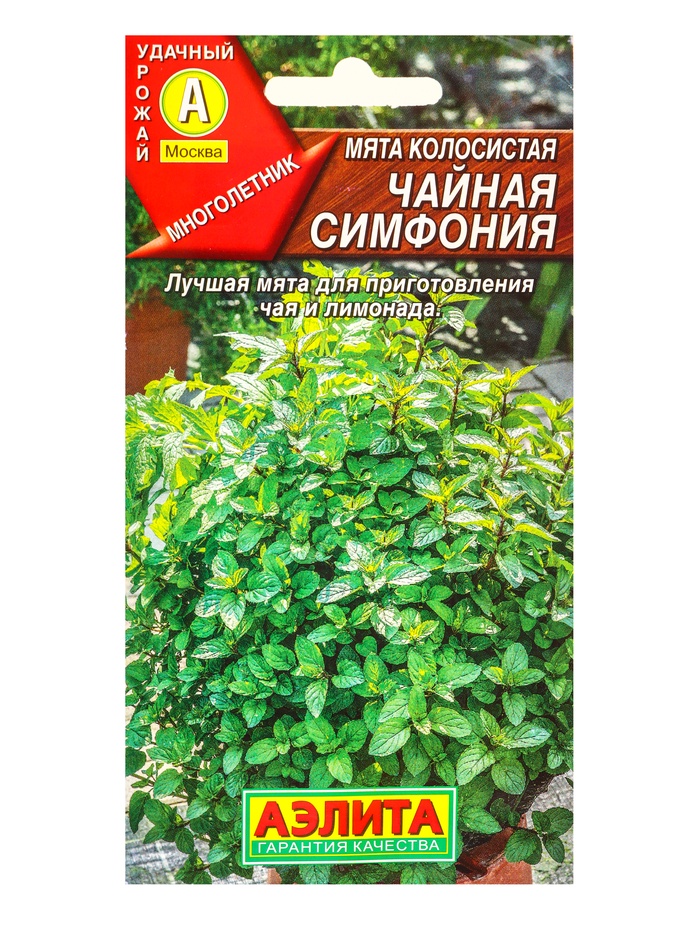 Семена Мята колосистая «Чайная симфония», 0.05 г, «Агрофирма АЭЛИТА» - Фото 1