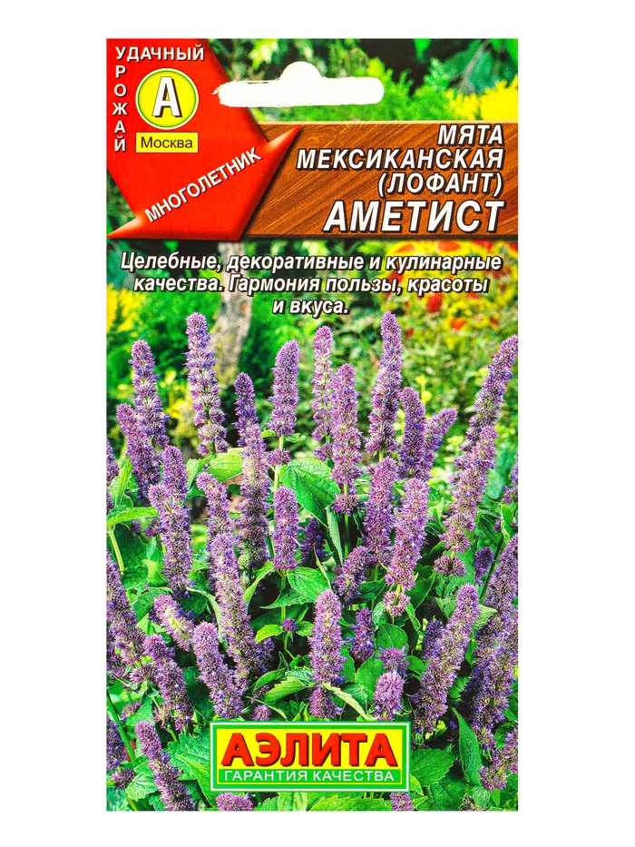 Семена Мята мексиканская «Аметист», 0.05 г, «Агрофирма АЭЛИТА» - Фото 1
