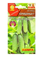 Семена Огурец Корнишонный F1 Пч, Ц/П,10 шт. (комплект 2 шт) - фото 61613685